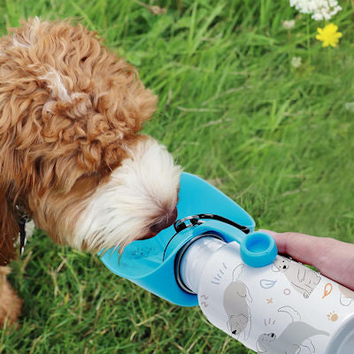 Pet 20oz Water Bottle, Fetch it Yourself
