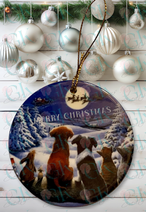 Ornament, Critter Christmas