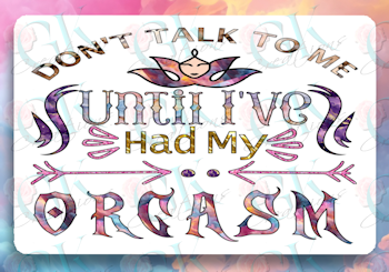 Don't Talk To Me Until I've Had My Orgasm Rectangle Magnet