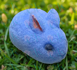 Bunny Squishy