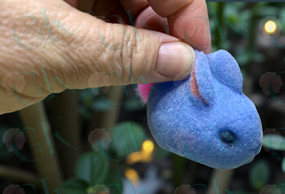 Bunny Squishy