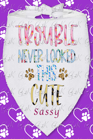 Pet Scarf, Trouble Never Looked...