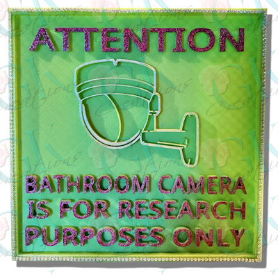3D Bathroom Plaque, Bathroom Camera