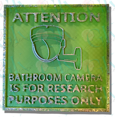 3D Bathroom Plaque, Bathroom Camera