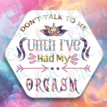 Don't Talk To Me Until I've Had My Orgasm Hexagon Magnet