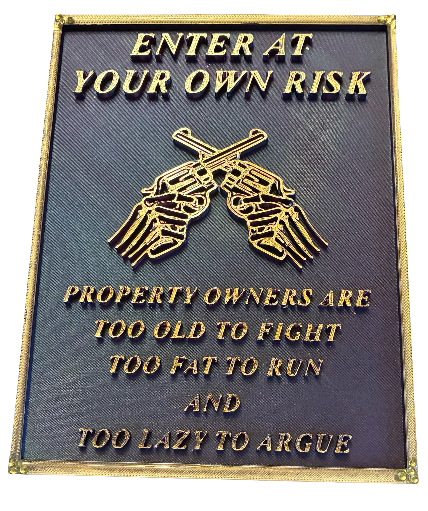 3D Warning Plaque, Enter At Your Own Risk 1