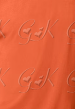 Polyester T-Shirt, Wild Turkey