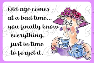 Old Age Comes...Rectangle Magnet