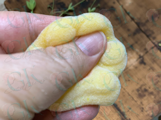 Paw Squishy