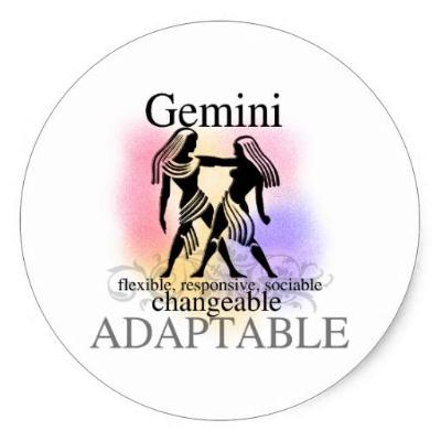 Gemini Magnet Or Pin - Granny Kate's