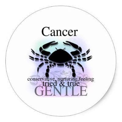 Cancer Magnet Or Pin - Granny Kate's
