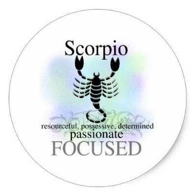 Scorpio Magnet Or Pin - Granny Kate's