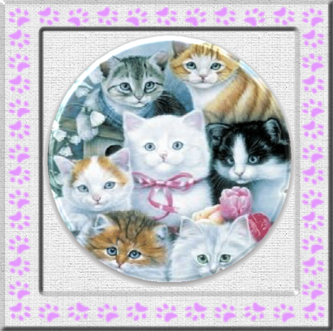 Kitten Managerie - Granny Kate's