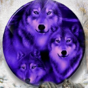 Wolf Trio - Granny Kate's
