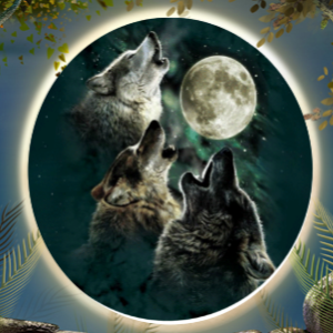 Wolves Howling at Moon - Granny Kate's